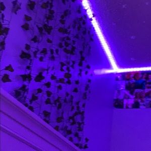 Meet your Posher, Autumn